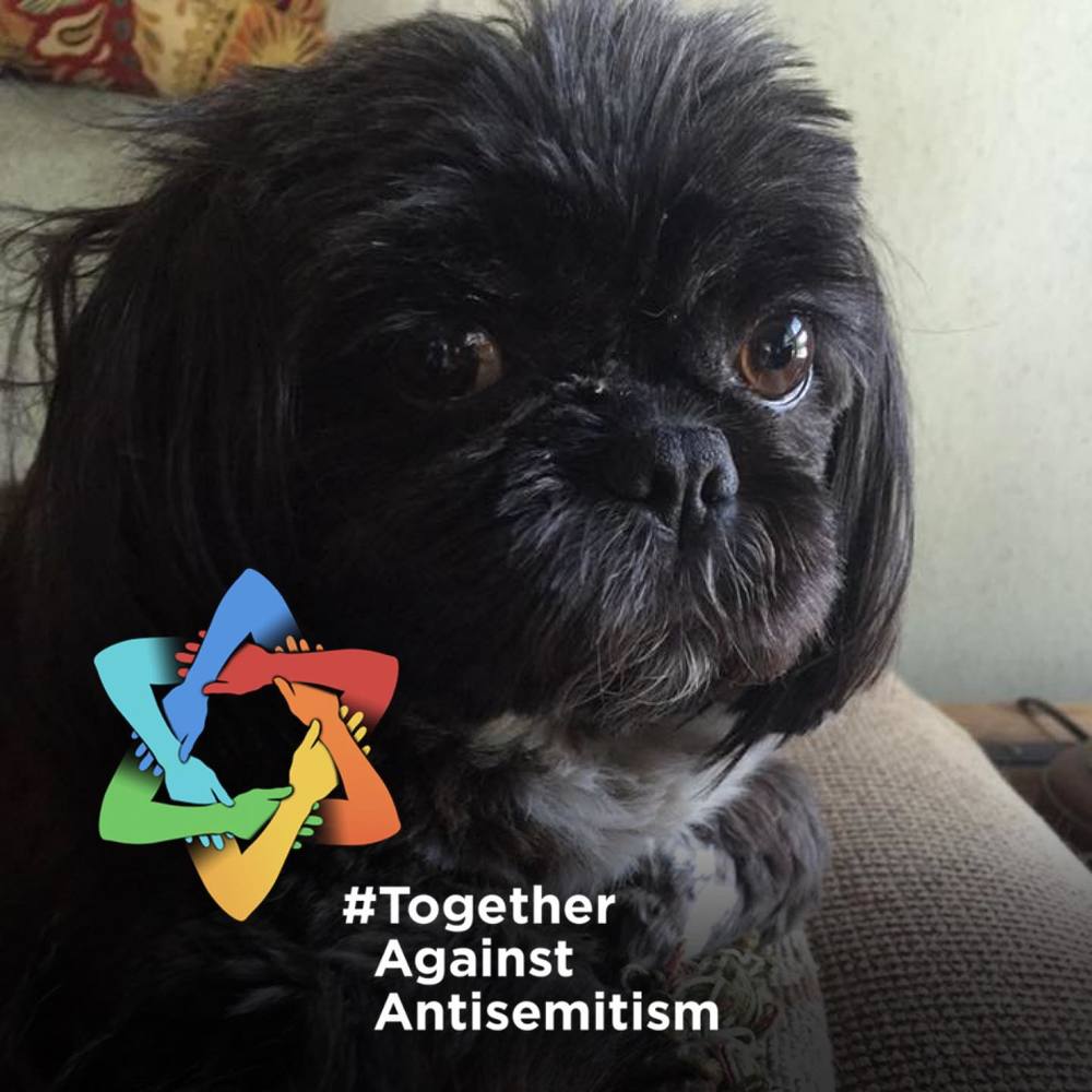 Meet your Posher, Sherie
